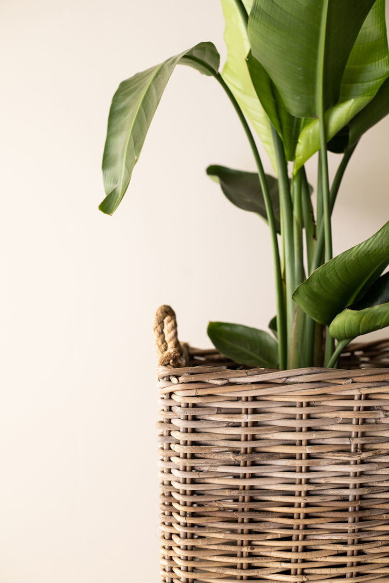 Rotan Mand Juul - Greywash - Met Jute Handvat