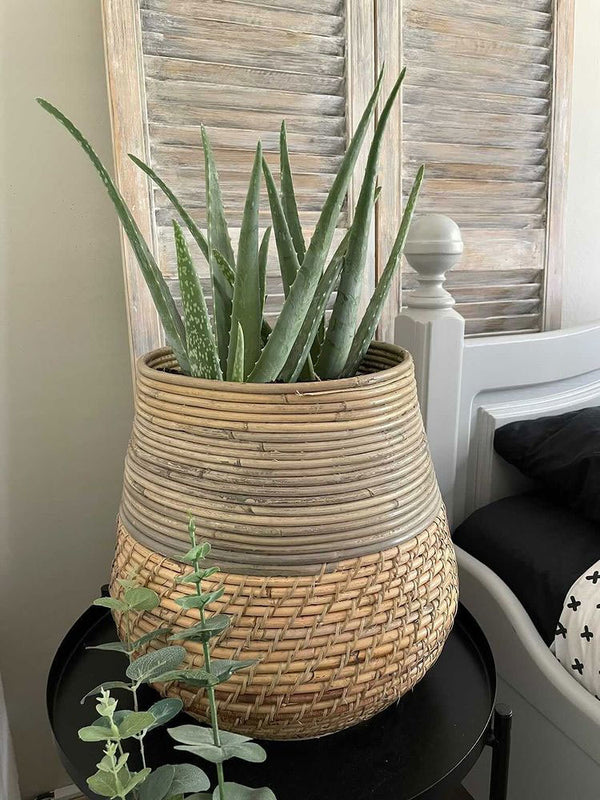 Plantenmand Warner - Bamboe - Bloempot