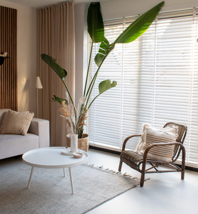 Rotan Eetkamerstoelen