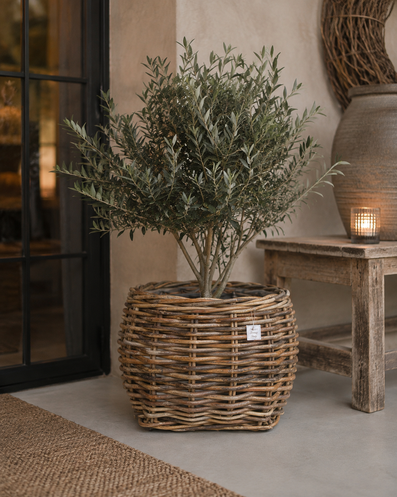 Rotan Plantenmand Veerle - Bruin